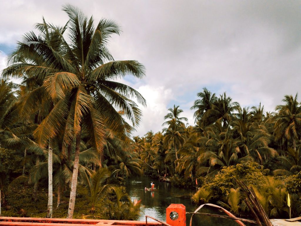 Picture taken from on the red painted Maasin Bridge Siargao of the Maasin River wrapped around coconut trees with the rope swing Siargao in the distance
