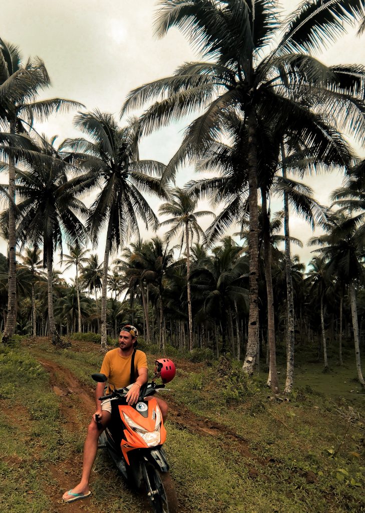 Cruising around Siargao we couldn't help but wander off into the coconut forests