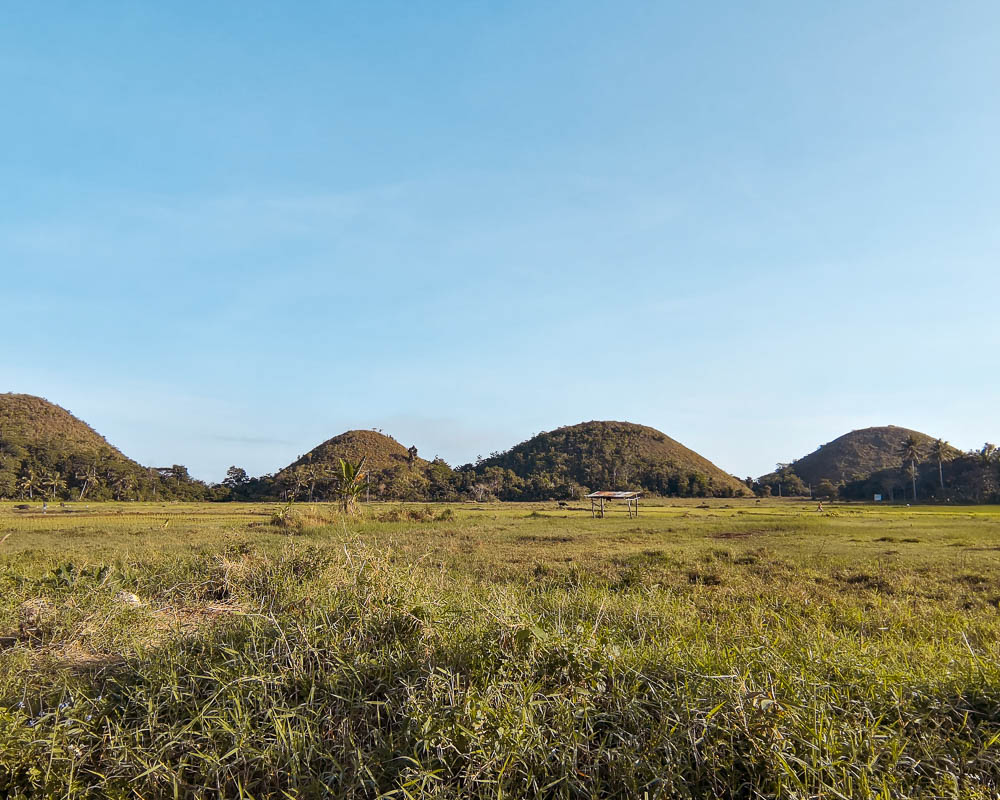 The chocolate hills from along a dirt road