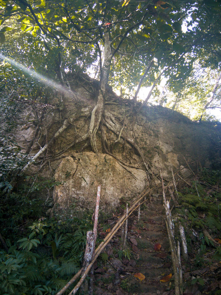 The trail down into the valley eventually leads to the cascade