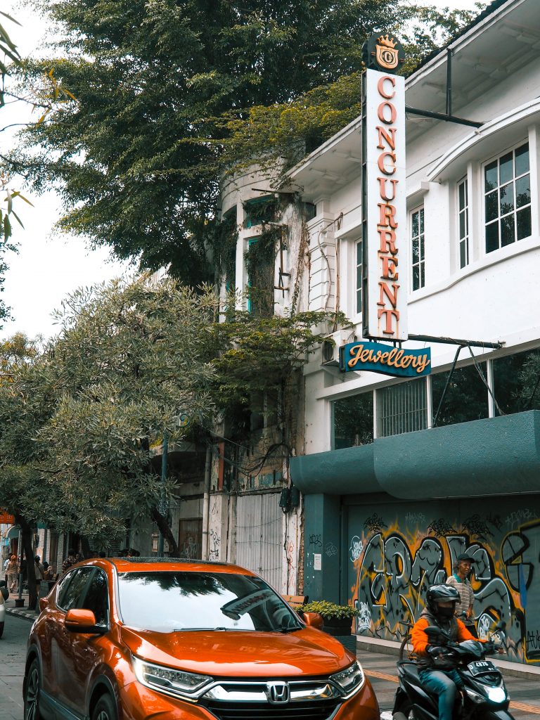 A historical dutch building with tropical trees growing through the walls and roof