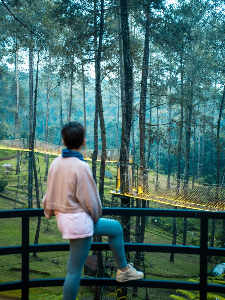 Jacqueline standing on the edge of a platform that looks onto a pretty suspension bridge lit up and zig zagging through the tall forest trees