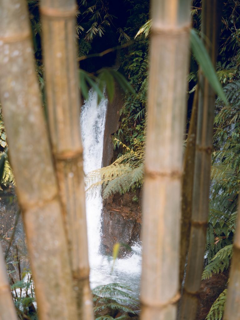 The cascade captured by taking the image from behind the bamboo trees hiding away the waterfall
