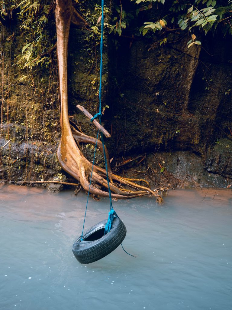 A tire used as a swing over the waterhole