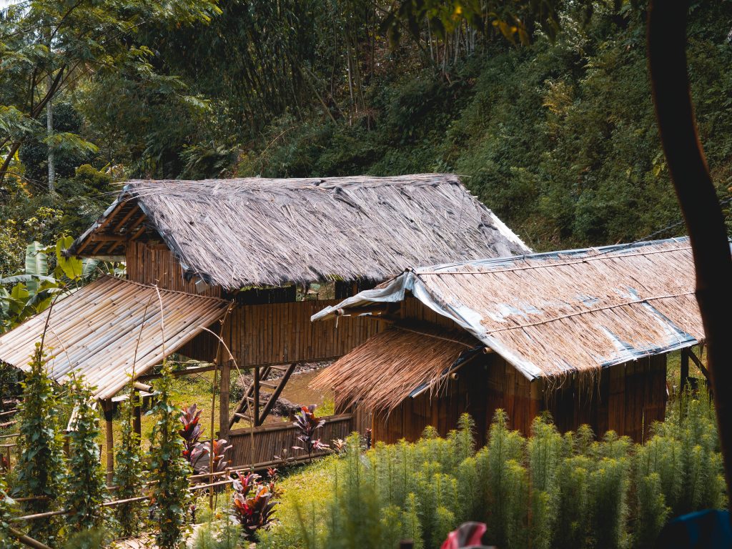 The bamboo huts where the locals live in the middle of the jungle