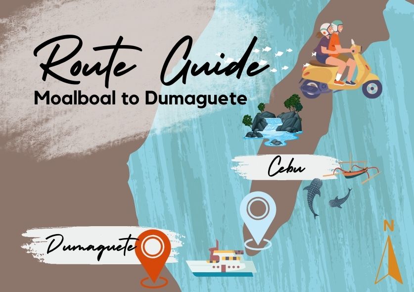 An infographic of cebu and dumaguete