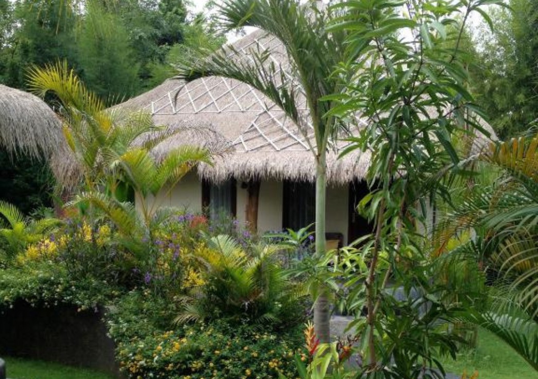 A thatched roof hut nestled in a lush garden